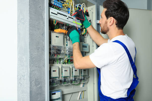 Best Electrical System Inspection  in Stockton, IL