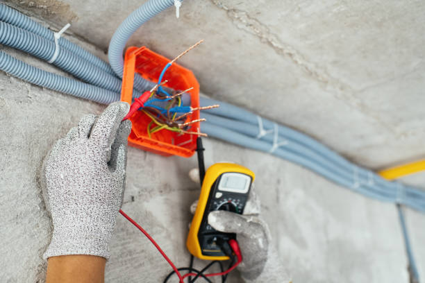 Best Ceiling Fan Installation Electrician  in Stockton, IL