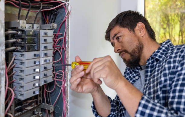 Best Licensed Electrician  in Stockton, IL